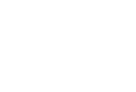 University of Washington Logo